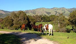 Indian Creek Ranch