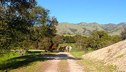 Indian Creek Ranch