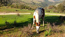 Indian Creek Ranch